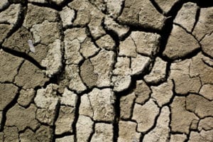 dry skin